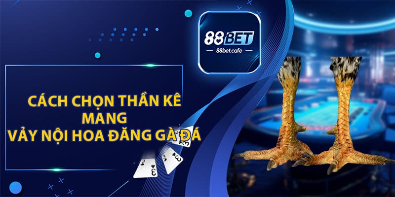 Vảy Nội Hoa Đăng Gà Đá - Ưu Tiên Hàng Đầu Của Sư Kê - ovaro