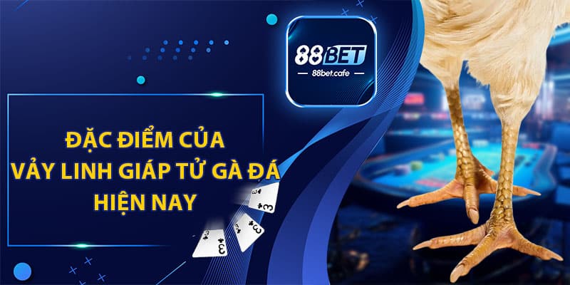 Vảy Linh Giáp Tử Gà Đá - 88BET Cung Cấp Thông Tin Mới Nhất - ovaro