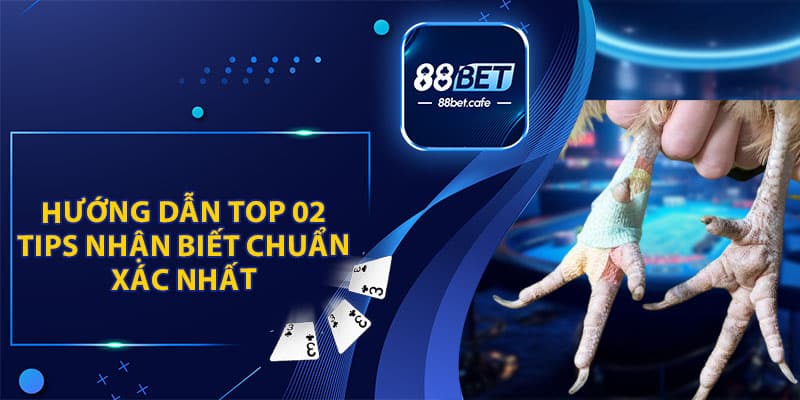 Vảy Khải Vương Đá Gà - Chiến Kê Được Săn Lùng 2026 - ovaro
