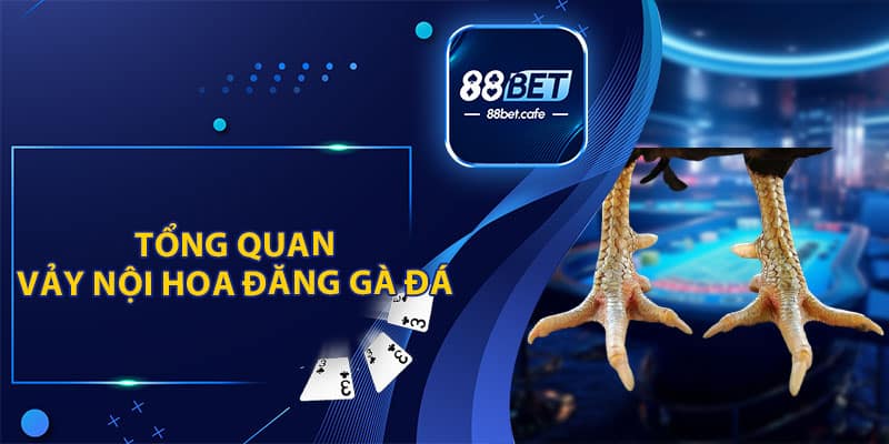 Vảy Nội Hoa Đăng Gà Đá - Ưu Tiên Hàng Đầu Của Sư Kê - ovaro