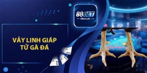 Đá Gà 88BET – Trải Nghiệm Tham Gia Đặt Cược Hấp Dẫn - ovaro