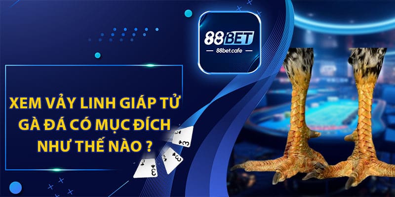Vảy Linh Giáp Tử Gà Đá - 88BET Cung Cấp Thông Tin Mới Nhất - ovaro