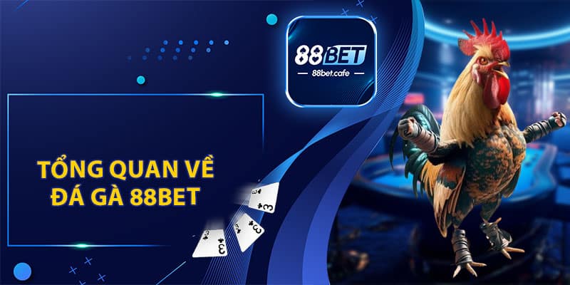 Đá Gà 88BET – Trải Nghiệm Tham Gia Đặt Cược Hấp Dẫn - ovaro