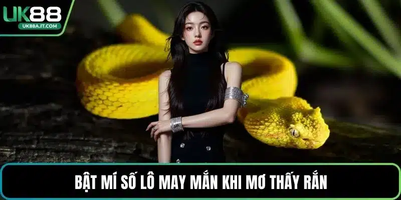 Nằm Mơ Thấy Rắn Là Điềm Gì? Giải Mã Con Số May Mắn - ovaro