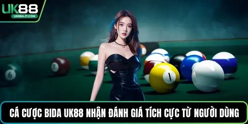 Cá Cược Bida VN88 Có Gì Hot? Luật Chơi Dành Cho Người Mới - ovaro