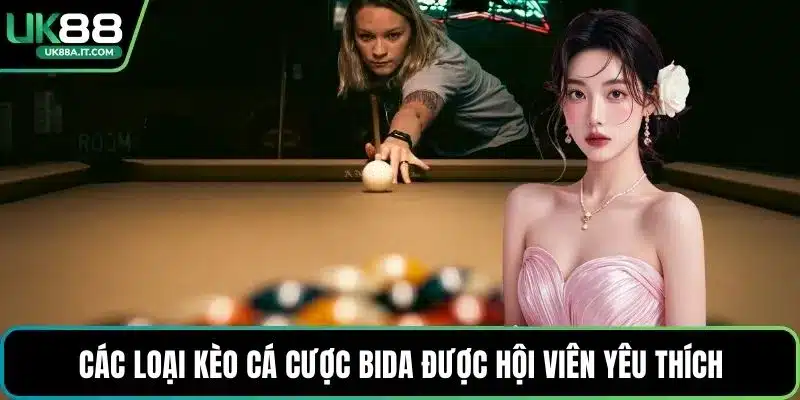 Cá Cược Bida VN88 Có Gì Hot? Luật Chơi Dành Cho Người Mới - ovaro
