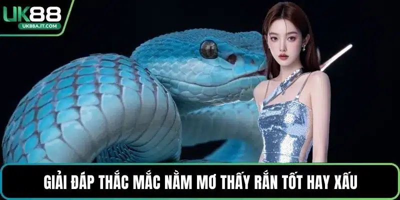 Nằm Mơ Thấy Rắn Là Điềm Gì? Giải Mã Con Số May Mắn - ovaro
