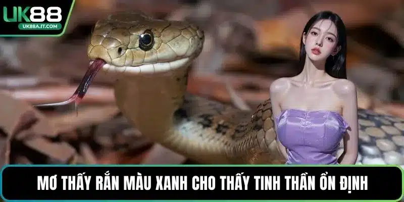 Nằm Mơ Thấy Rắn Là Điềm Gì? Giải Mã Con Số May Mắn - ovaro
