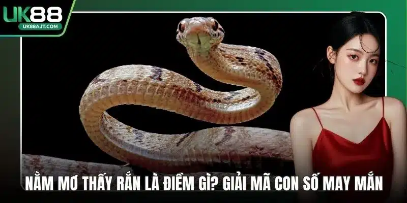 Sâm Lốc UK88 – Trải Nghiệm Game Bài Hấp Dẫn Sảnh 3D - ovaro