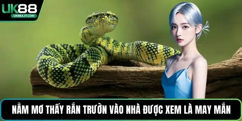 Nằm Mơ Thấy Rắn Là Điềm Gì? Giải Mã Con Số May Mắn - ovaro
