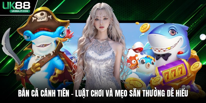 Cá Cược Bida VN88 Có Gì Hot? Luật Chơi Dành Cho Người Mới - ovaro