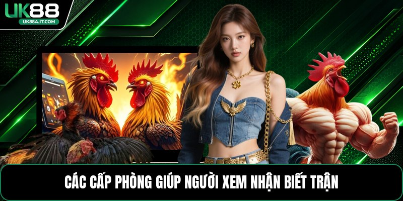 Đá Gà C2 C3 C4 - Cách Xem Và Phân Biệt Từng Cấp Trận - ovaro