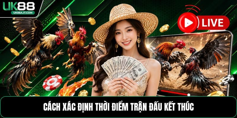 Đá Gà Cựa Sắt - Luật Chơi Và Mẹo Theo Dõi Hiệu Quả - ovaro