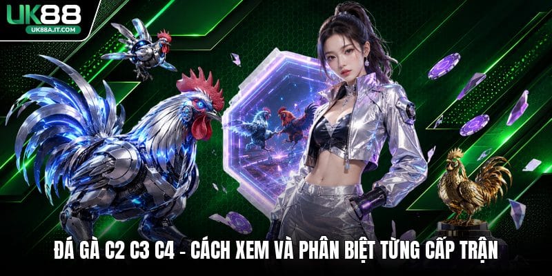 Cá Cược Bida VN88 Có Gì Hot? Luật Chơi Dành Cho Người Mới - ovaro