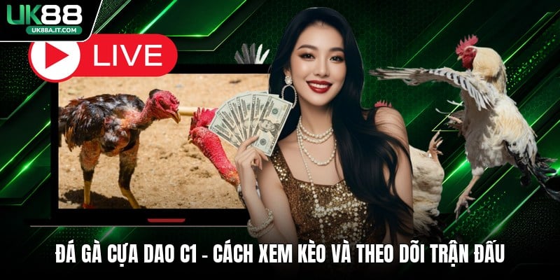Cá Cược Bida VN88 Có Gì Hot? Luật Chơi Dành Cho Người Mới - ovaro