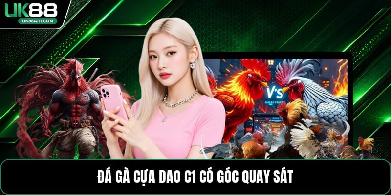 Đá Gà Cựa Dao C1 - Cách Xem Kèo Và Theo Dõi Trận Đấu - ovaro