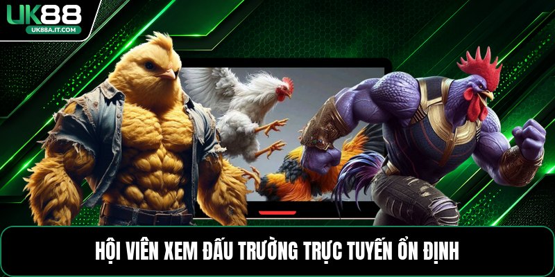 Đá Gà Cựa Dao C1 - Cách Xem Kèo Và Theo Dõi Trận Đấu - ovaro
