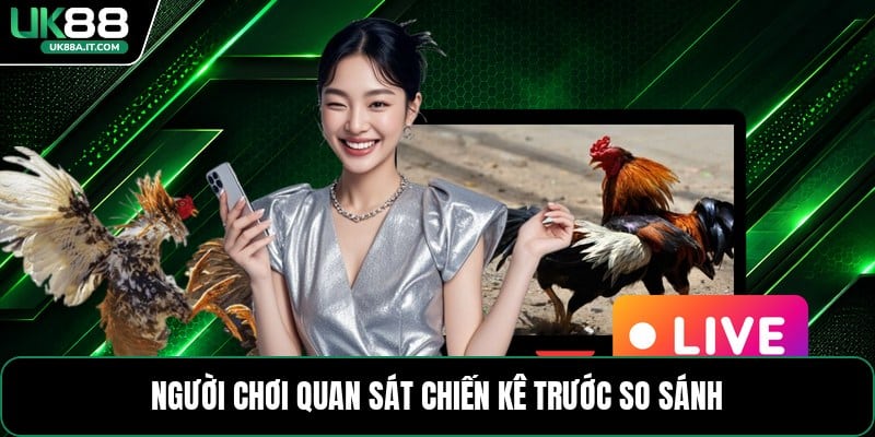Đá Gà C2 C3 C4 - Cách Xem Và Phân Biệt Từng Cấp Trận - ovaro