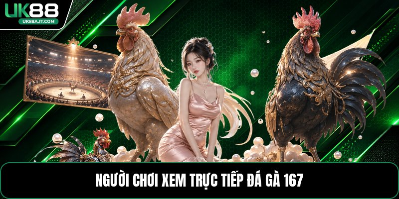 Trực Tiếp Đá Gà 167 - Thông Tin Các Trận Đấu Hôm Nay - ovaro