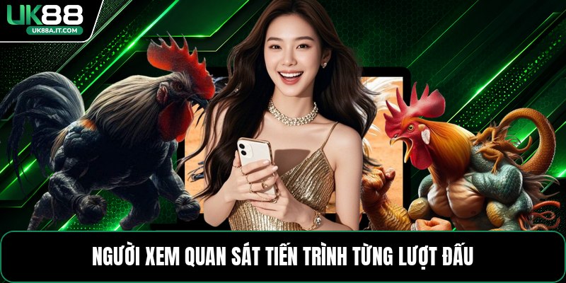 Trực Tiếp Đá Gà 167 - Thông Tin Các Trận Đấu Hôm Nay - ovaro