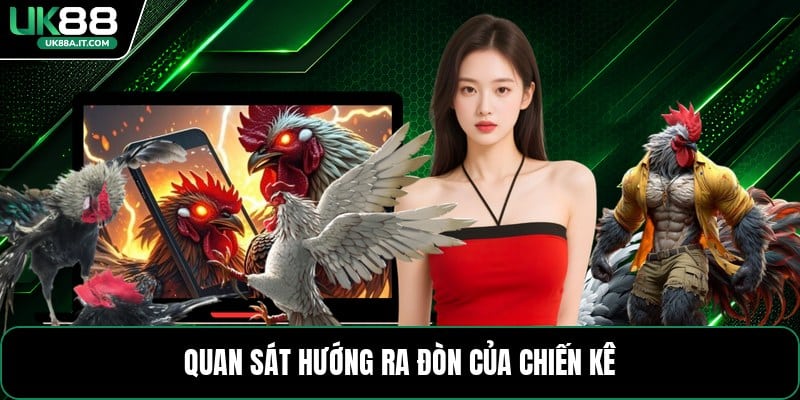 Đá Gà Cựa Sắt - Luật Chơi Và Mẹo Theo Dõi Hiệu Quả - ovaro