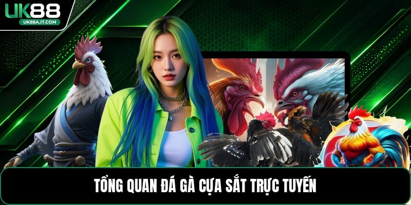 Đá Gà Cựa Sắt - Luật Chơi Và Mẹo Theo Dõi Hiệu Quả - ovaro