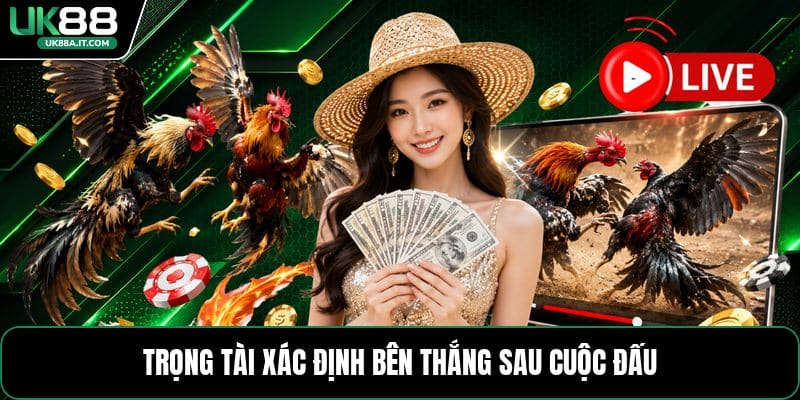 Đá Gà Dao Philippines - Tổng Quan Luật Và Cách Chơi - ovaro